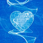 Heart and formulae, illustration