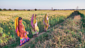 Women going to the toilet in rural India