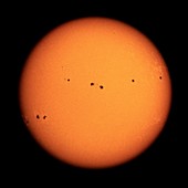 Sunspots on the Sun, October 1989