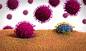 Mutating coronavirus, illustration