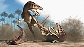 Australovenator dinosaurs fighting, illustration