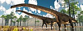 Mamenchisaurus dinosaurs, illustration