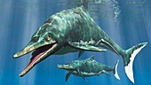 Temnodonosaurus prehistoric marine reptile, illustration