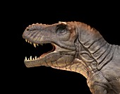 Tyrannosaurus dinosaur, illustration