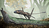 Dimorphodon pterosaur running on the ground, illustration