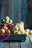 Cauliflower, red onions, potatoes and Brussels sprouts