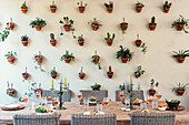 Set dining table in front of wall covered in plants in terracotta pots in wall brackets