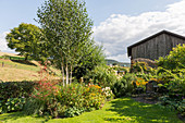 Rural garden with birch and herbaceous beds, seating area in the shade on a small terrace