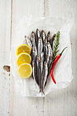 Fresh sardines