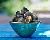 Clams in a blue bowl