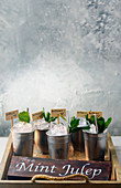 Peach and mint julep