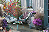 Acapulco armchair with fur and blanket, chrysanthemums, grasses, and trees