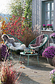 Acapulco armchair with fur and blanket, chrysanthemums, grasses and trees