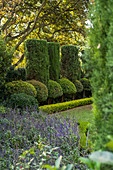 Gartenanlage mit formgeschnittenen Syzygium und Zypressen
