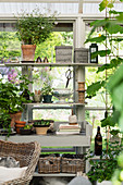Vintage-style accessories on shelves in summery conservatory