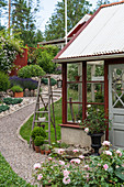 Gravel path leading to Falu-red greenhouse in summery garden