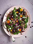 Salad with crispy kale