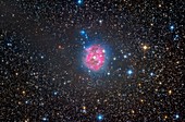 Cocoon Nebula, optical image