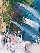 2019-20 Australian bushfire season, satellite image