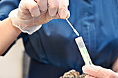 Testing during coronavirus outbreak
