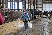 Dairy farm, Wisconsin, USA