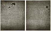 Sunspots on the Sun, 1881 and 1887