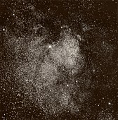 Scutum Star Cloud, 1892