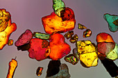 Sand grains, light micrograph