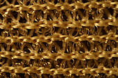 Pantyhose structure, light micrograph