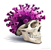 Skull and coronavirus, conceptual illustration
