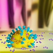 Covid-19 coronavirus binding to target cell, illustration