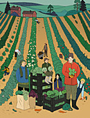 Community farm, illustration