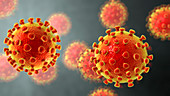 Coronavirus particles, illustration