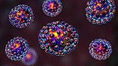 Coronavirus particles, illustration