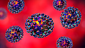 Coronavirus particles, illustration