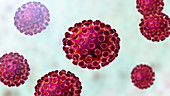 Coronavirus particles, illustration