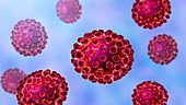 Coronavirus particles, illustration