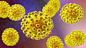 Coronavirus particles, illustration