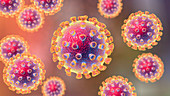 Coronavirus particles, illustration