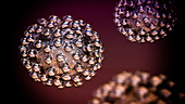 Coronavirus particles, illustration