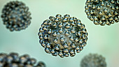 Coronavirus particles, illustration