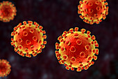 Coronavirus particles, illustration