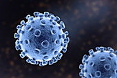 Coronavirus particles, illustration