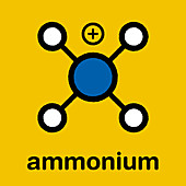 Ammonium cation, illustration