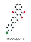 Atovaquone drug molecule, illustration