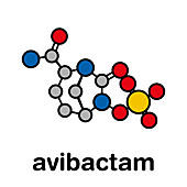 Avibactam drug molecule, illustration