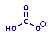 Bicarbonate anion chemical structure, illustration