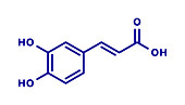 Caffeic acid molecule, illustration