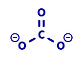 Carbonate anion chemical structure, illustration