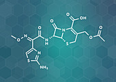 Cefotaxime antibiotic drug molecule, illustration